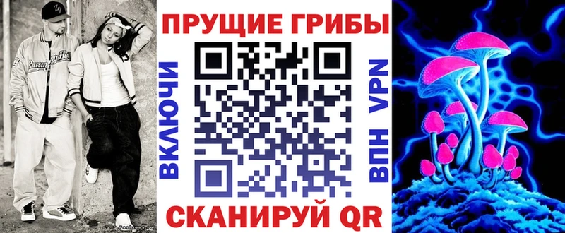 Купить  Иноземцево  Псилоцибиновые грибы мицелий 